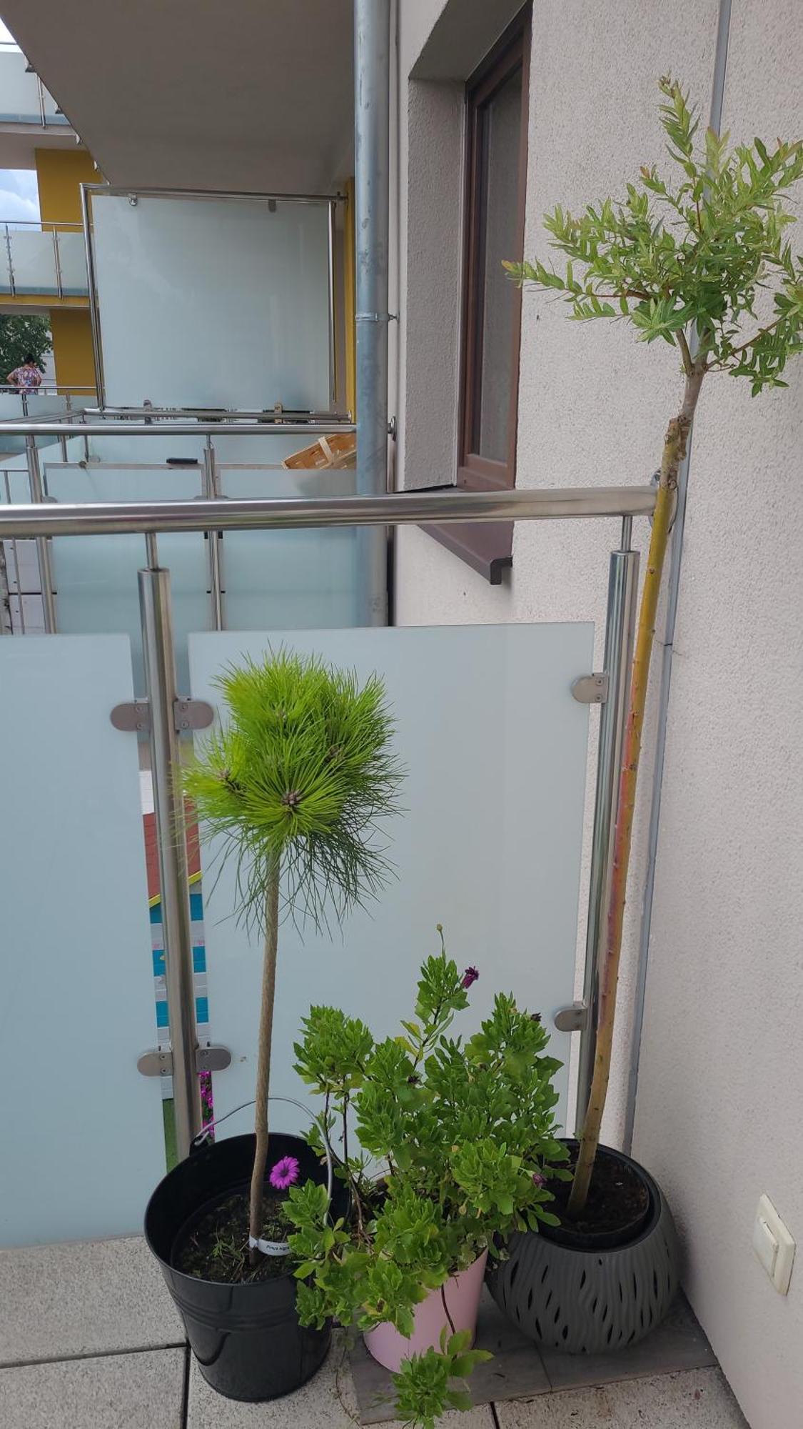 Apartament Lilla Jelenia Góra Exterior foto